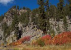 Spring Creek near Sheridan Lake
