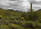 Cave Creek Recreation Area in North Phoenix