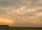 Mammatus