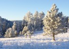 051203 074459 HL2M3810