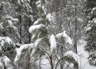 060319 130405 HL2M5097