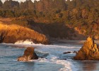 Pacific Coast